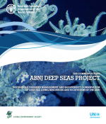 The Common Oceans ABNJ Deep Seas Project 